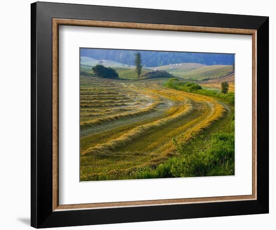 Trimmed Fields-Jim Craigmyle-Framed Photographic Print