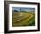 Trimmed Fields-Jim Craigmyle-Framed Photographic Print