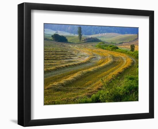 Trimmed Fields-Jim Craigmyle-Framed Photographic Print