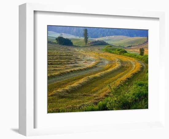 Trimmed Fields-Jim Craigmyle-Framed Photographic Print