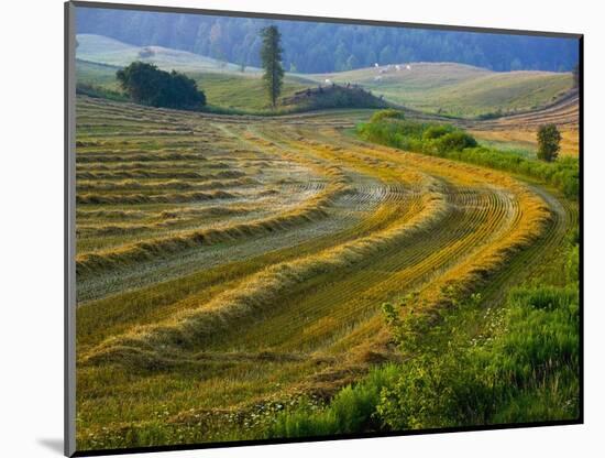 Trimmed Fields-Jim Craigmyle-Mounted Photographic Print