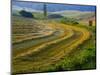 Trimmed Fields-Jim Craigmyle-Mounted Photographic Print