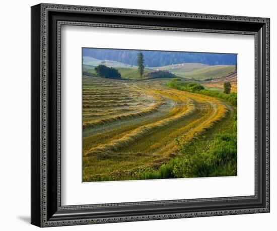 Trimmed Fields-Jim Craigmyle-Framed Photographic Print