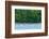 Trinidad, Caroni Swamp. Scarlet ibis birds flying over American flamingos.-Jaynes Gallery-Framed Photographic Print