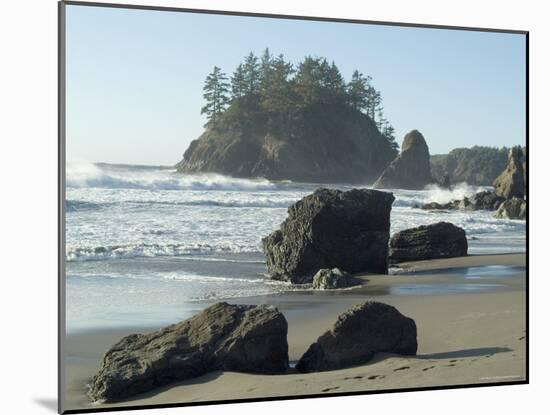 Trinidad State Beach, California, USA-Ethel Davies-Mounted Photographic Print