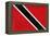 Trinitad And Tobago Flag Design with Wood Patterning - Flags of the World Series-Philippe Hugonnard-Framed Stretched Canvas