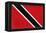 Trinitad And Tobago Flag Design with Wood Patterning - Flags of the World Series-Philippe Hugonnard-Framed Stretched Canvas