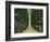 Trinity Avenue-null-Framed Art Print