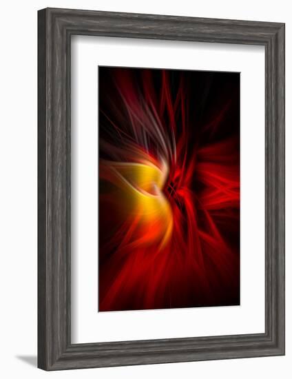 Trinity Collection 07-Philippe Saint-Laudy-Framed Photographic Print