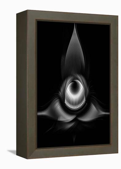 Trinity Collection 102-Philippe Sainte-Laudy-Framed Premier Image Canvas