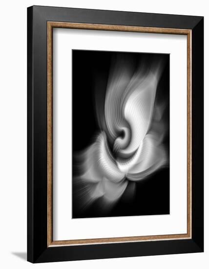 Trinity Collection 103-Philippe Sainte-Laudy-Framed Photographic Print