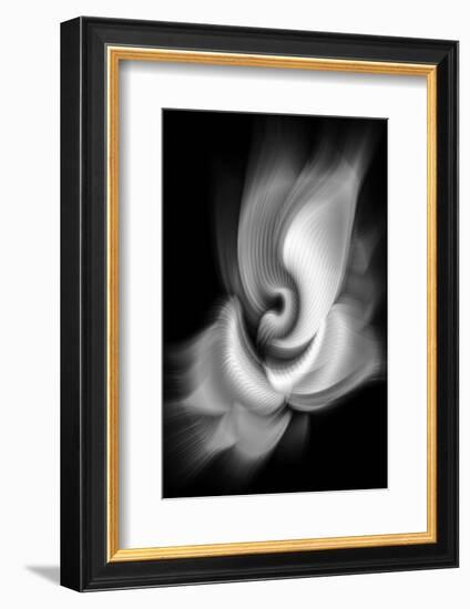 Trinity Collection 103-Philippe Sainte-Laudy-Framed Photographic Print