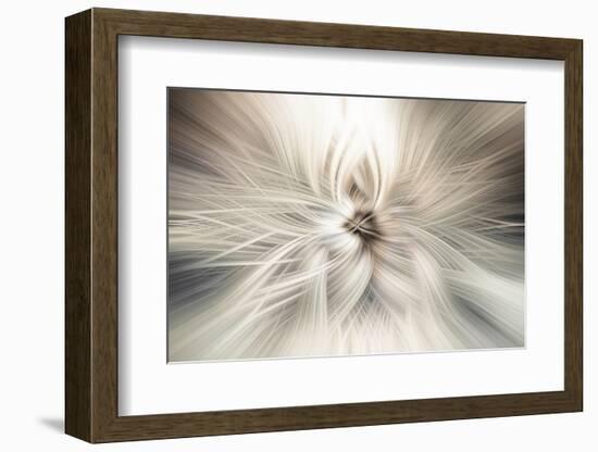 Trinity Collection 10-Philippe Saint-Laudy-Framed Photographic Print