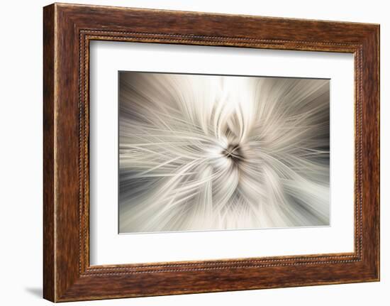 Trinity Collection 10-Philippe Saint-Laudy-Framed Photographic Print