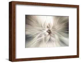 Trinity Collection 10-Philippe Saint-Laudy-Framed Photographic Print