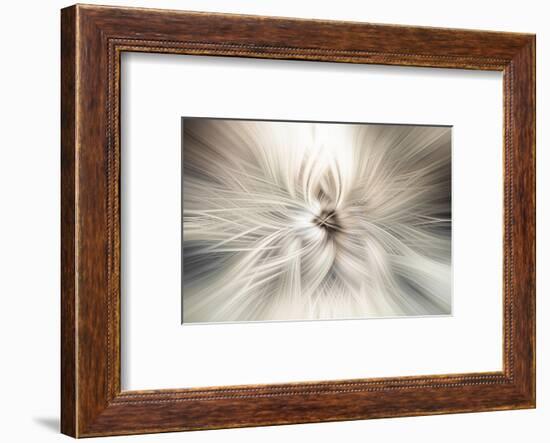 Trinity Collection 10-Philippe Saint-Laudy-Framed Photographic Print