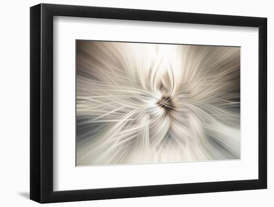 Trinity Collection 10-Philippe Saint-Laudy-Framed Photographic Print