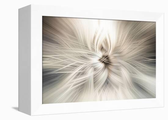 Trinity Collection 10-Philippe Saint-Laudy-Framed Premier Image Canvas