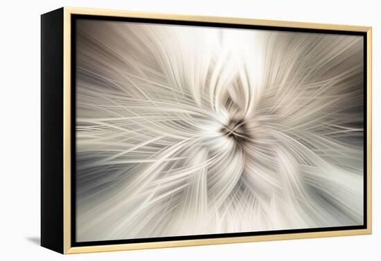 Trinity Collection 10-Philippe Saint-Laudy-Framed Premier Image Canvas