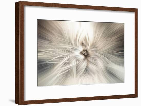 Trinity Collection 10-Philippe Saint-Laudy-Framed Photographic Print