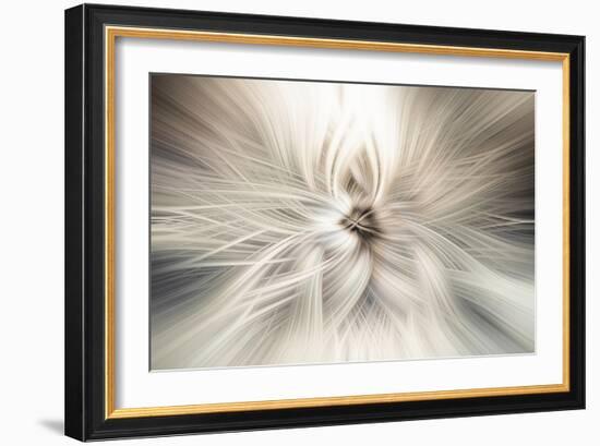 Trinity Collection 10-Philippe Saint-Laudy-Framed Photographic Print