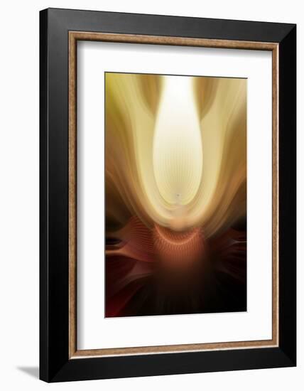 Trinity Collection 110-Philippe Sainte-Laudy-Framed Photographic Print