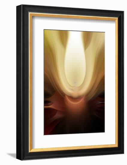 Trinity Collection 110-Philippe Sainte-Laudy-Framed Photographic Print