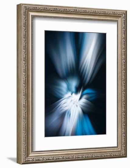 Trinity Collection 121-Philippe Sainte-Laudy-Framed Photographic Print