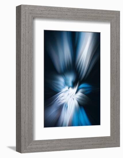 Trinity Collection 121-Philippe Sainte-Laudy-Framed Photographic Print