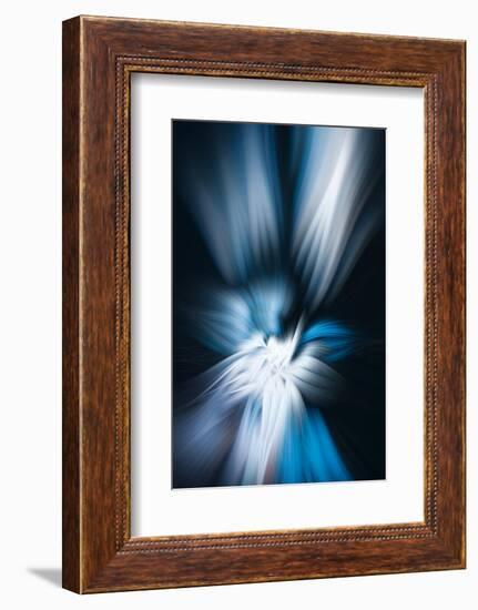 Trinity Collection 121-Philippe Sainte-Laudy-Framed Photographic Print