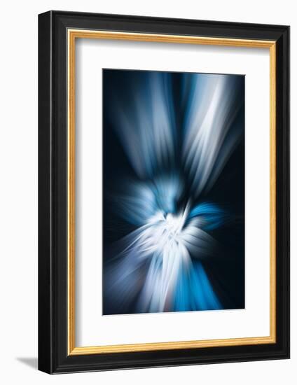 Trinity Collection 121-Philippe Sainte-Laudy-Framed Photographic Print