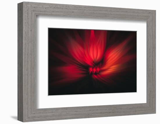 Trinity Collection 122-Philippe Sainte-Laudy-Framed Photographic Print