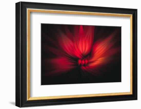 Trinity Collection 122-Philippe Sainte-Laudy-Framed Photographic Print