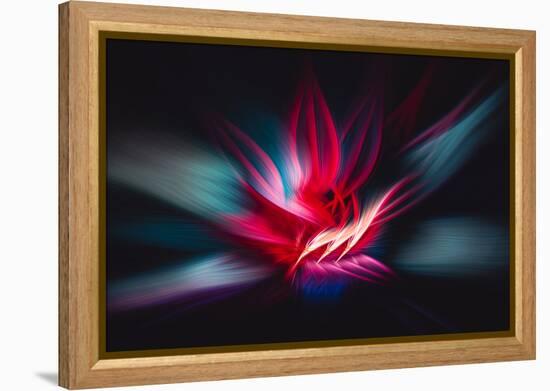 Trinity Collection 124-Philippe Sainte-Laudy-Framed Premier Image Canvas