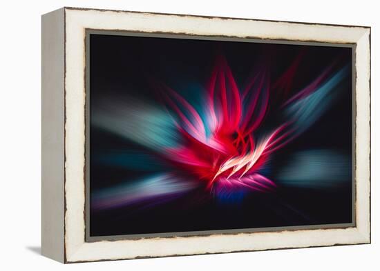 Trinity Collection 124-Philippe Sainte-Laudy-Framed Premier Image Canvas