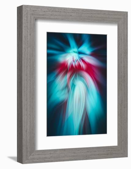 Trinity Collection 125-Philippe Sainte-Laudy-Framed Photographic Print