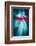 Trinity Collection 125-Philippe Sainte-Laudy-Framed Photographic Print