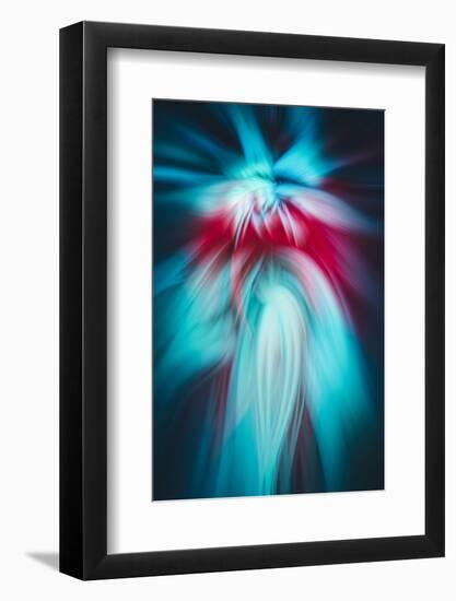 Trinity Collection 125-Philippe Sainte-Laudy-Framed Photographic Print