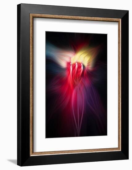 Trinity Collection 126-Philippe Sainte-Laudy-Framed Photographic Print