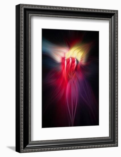 Trinity Collection 126-Philippe Sainte-Laudy-Framed Photographic Print