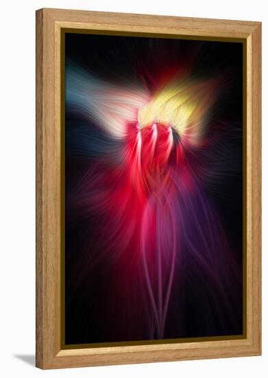 Trinity Collection 126-Philippe Sainte-Laudy-Framed Premier Image Canvas