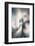 Trinity Collection 127-Philippe Sainte-Laudy-Framed Photographic Print