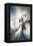 Trinity Collection 127-Philippe Sainte-Laudy-Framed Premier Image Canvas