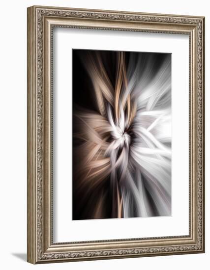 Trinity Collection 128-Philippe Sainte-Laudy-Framed Photographic Print