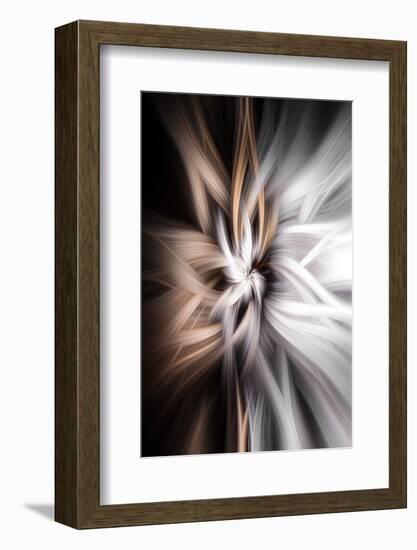 Trinity Collection 128-Philippe Sainte-Laudy-Framed Photographic Print