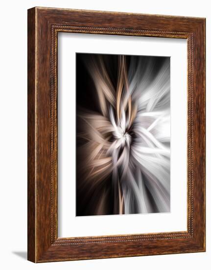 Trinity Collection 128-Philippe Sainte-Laudy-Framed Photographic Print