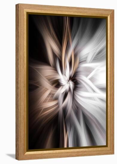 Trinity Collection 128-Philippe Sainte-Laudy-Framed Premier Image Canvas