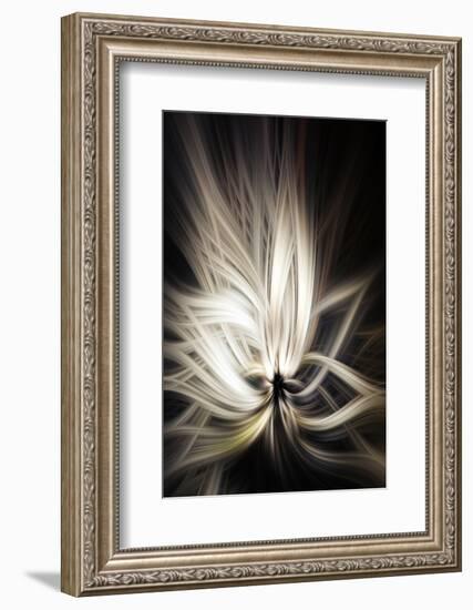 Trinity Collection 133-Philippe Sainte-Laudy-Framed Photographic Print