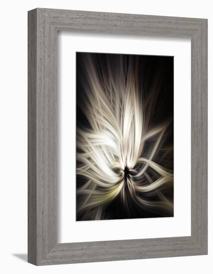 Trinity Collection 133-Philippe Sainte-Laudy-Framed Photographic Print