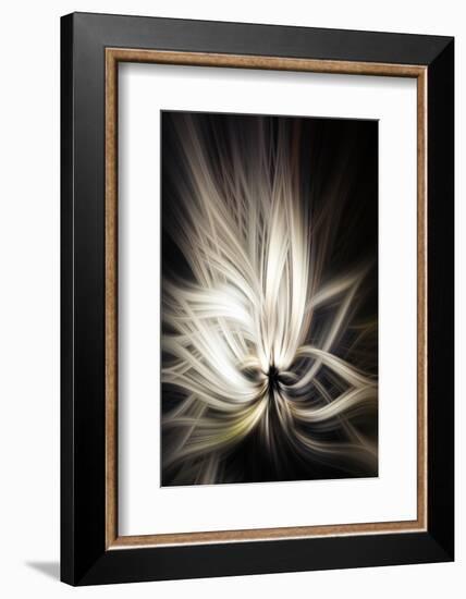 Trinity Collection 133-Philippe Sainte-Laudy-Framed Photographic Print